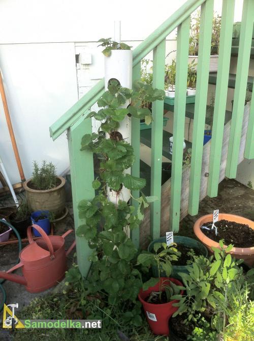 готовая вертикальная грядка для клубники