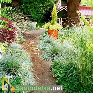 Садовые дорожки своими руками фото 4