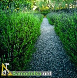 Садовые дорожки своими руками фото 6