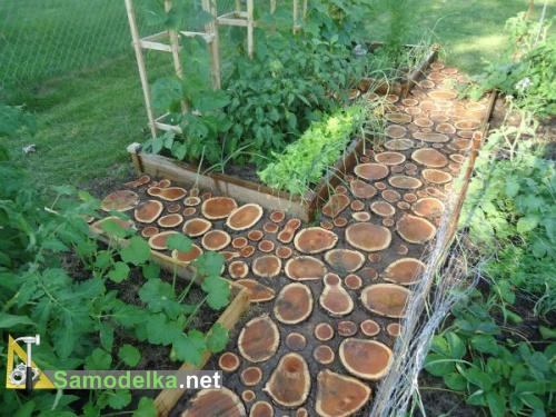 садовые дорожки из спилов дерева садовые дорожки из спилов дерева