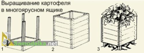 делаем ящик для выращивания картофеля 