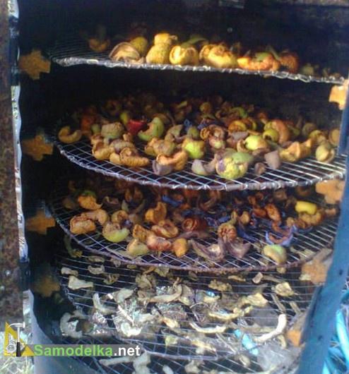 полки для фруктов в сушилке полки для фруктов в сушилке