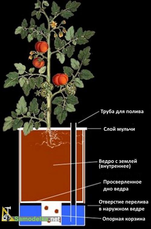 схема автополива своими руками