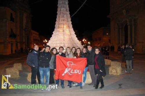 создатели елки