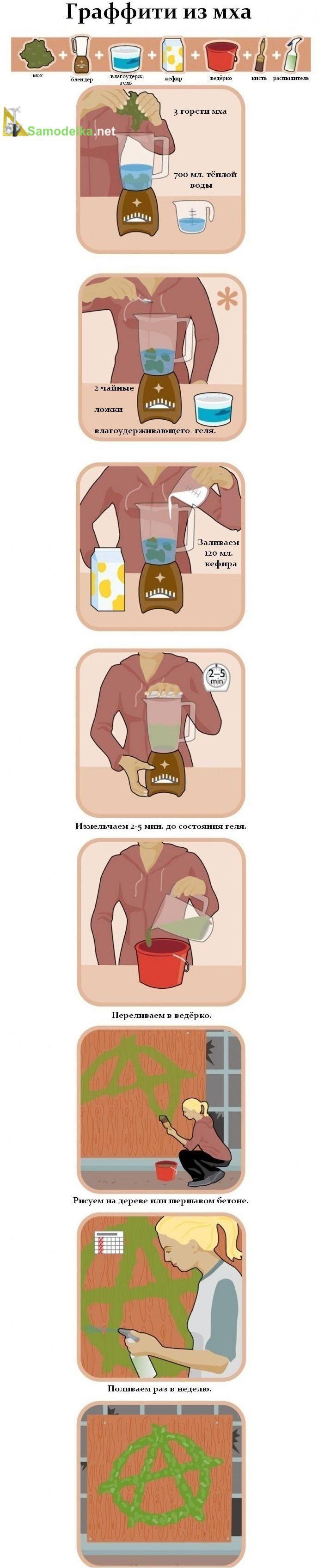 надпись на стене из растущего мха