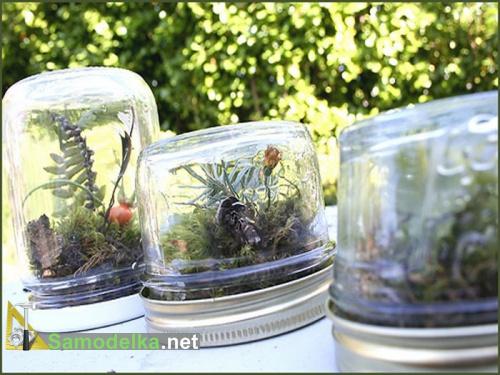  поделки из баночек из под детского питания - мини террариумы