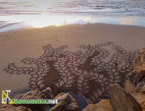 Рисунки на песке Андреса Амадора водоросли