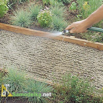 дорожка из плитняка своими руками поливаем песок водой