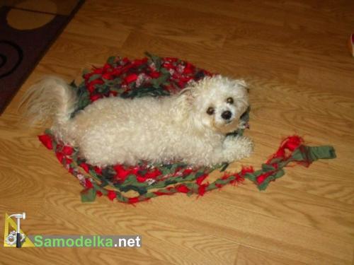 собачка на плетеном самодельном коврике собачка на плетеном самодельном коврике