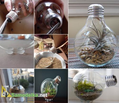 Самодельный террариум в лампочке