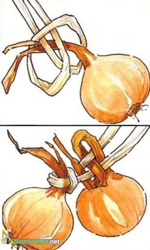способ плетения косы из лука и чеснока на веревке способ плетения косы из лука и чеснока на веревке