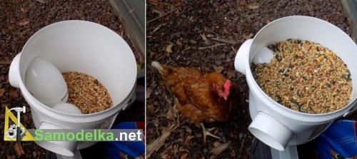Насыпаем корм