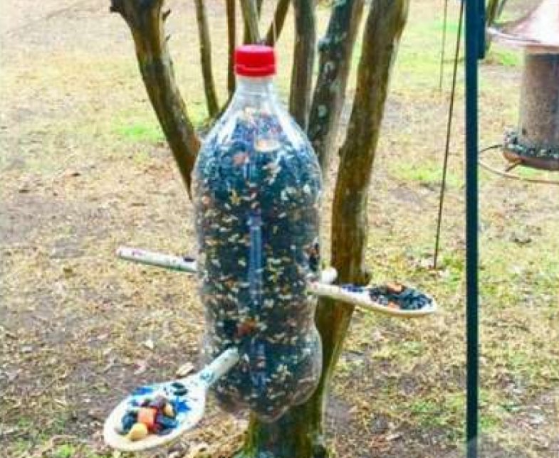 Кормушка из пластиковой бутылки жестко закреплённая на стволе Кормушка из пластиковой бутылки жестко закреплённая на стволе